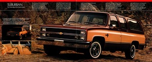 1983 Chevrolet People-Carriers-10-11.jpg